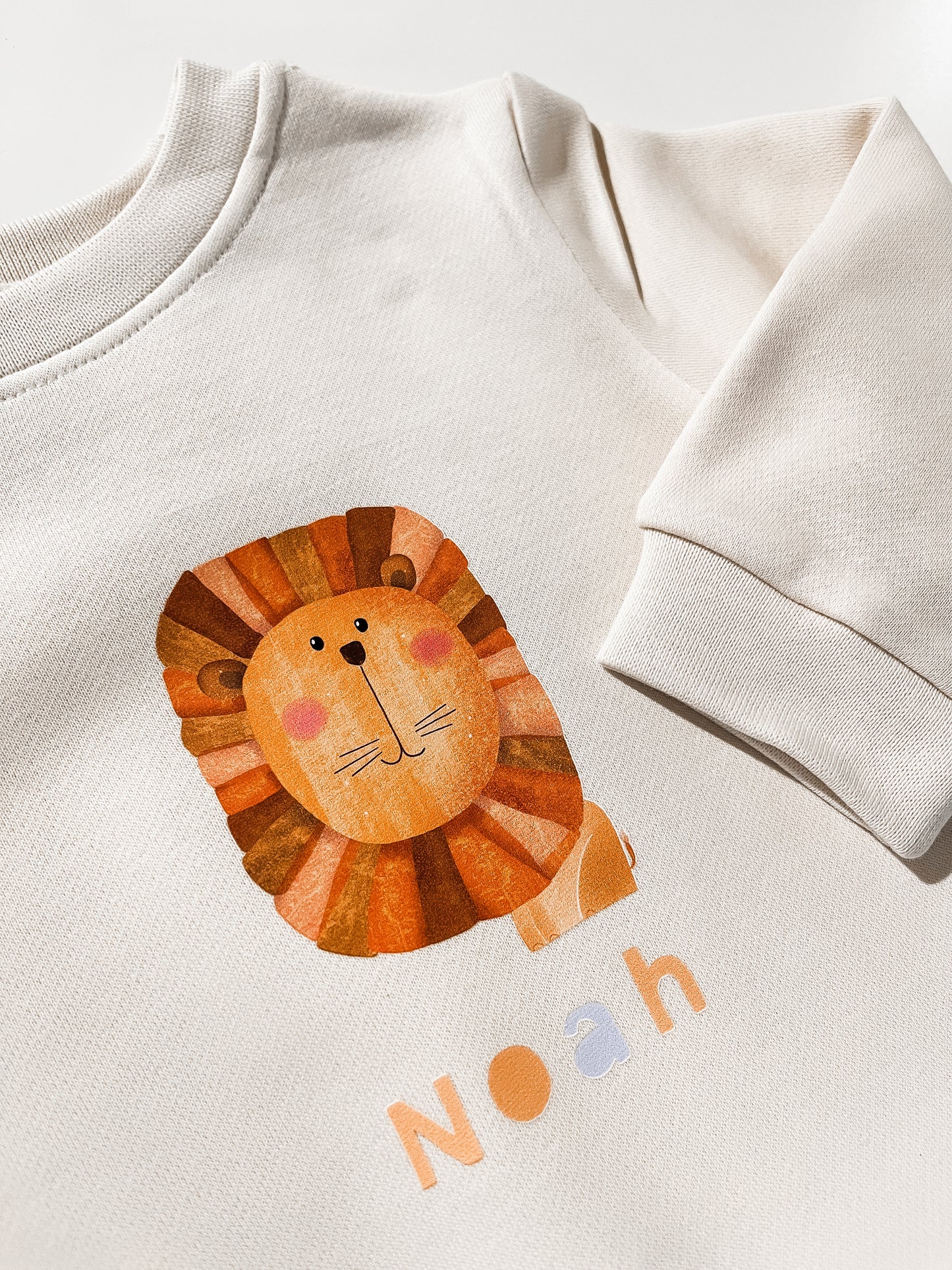 Personalized Kids Sweatshirt (delivery 14 days)